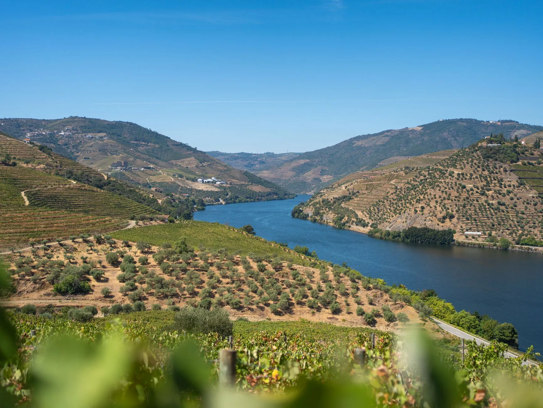 La vallée du Douro : vendanges en automne, chaleur en été