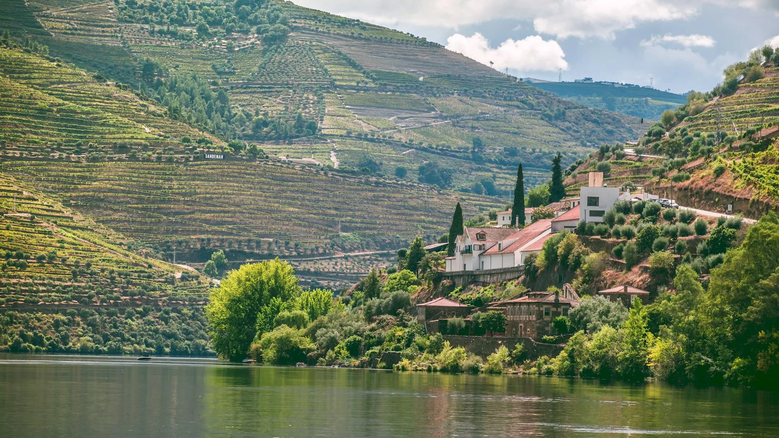 Vins, porto et boissons à goûter