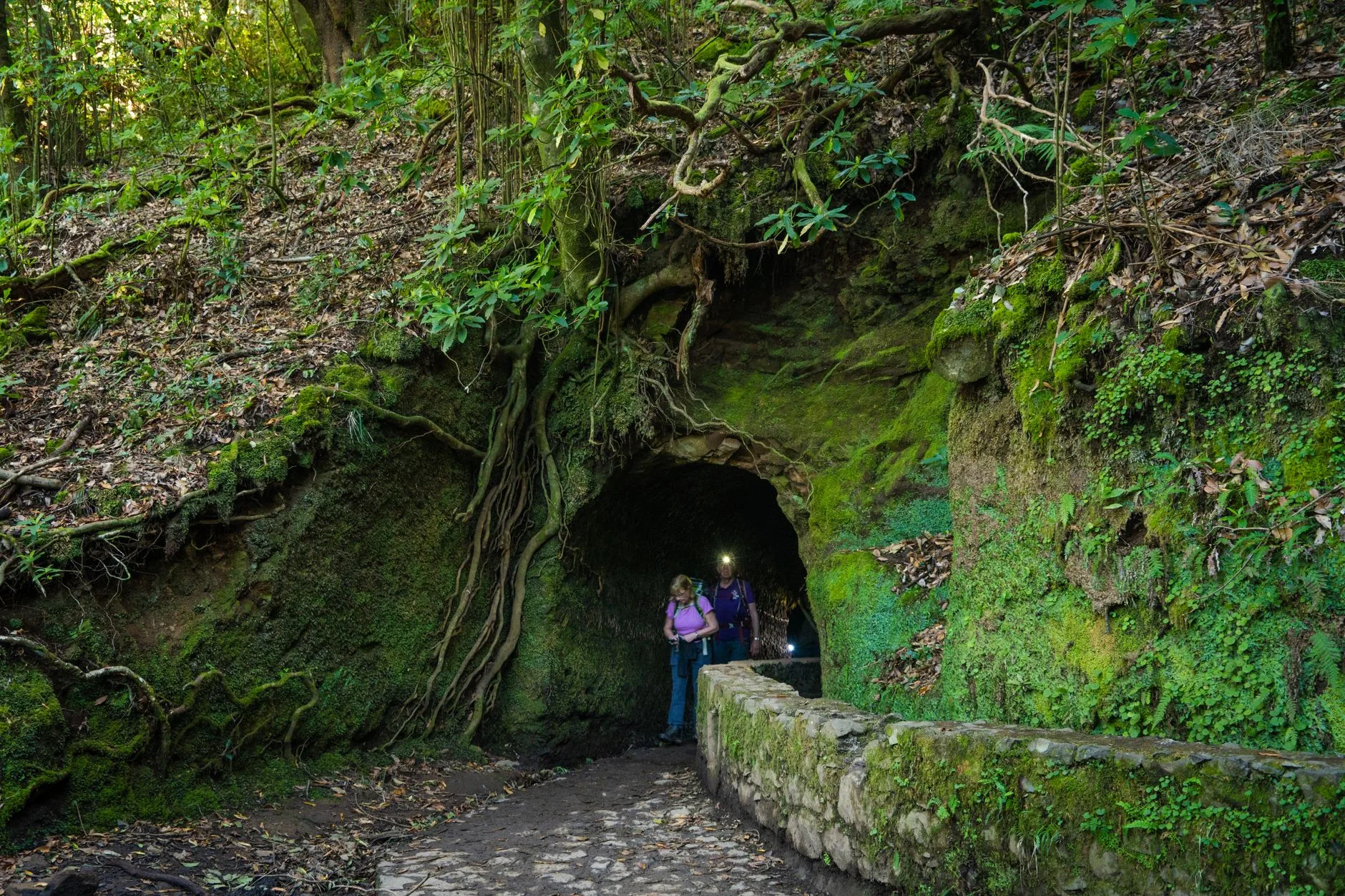 Levada do Caldeirão Verde : le grand classique du nord