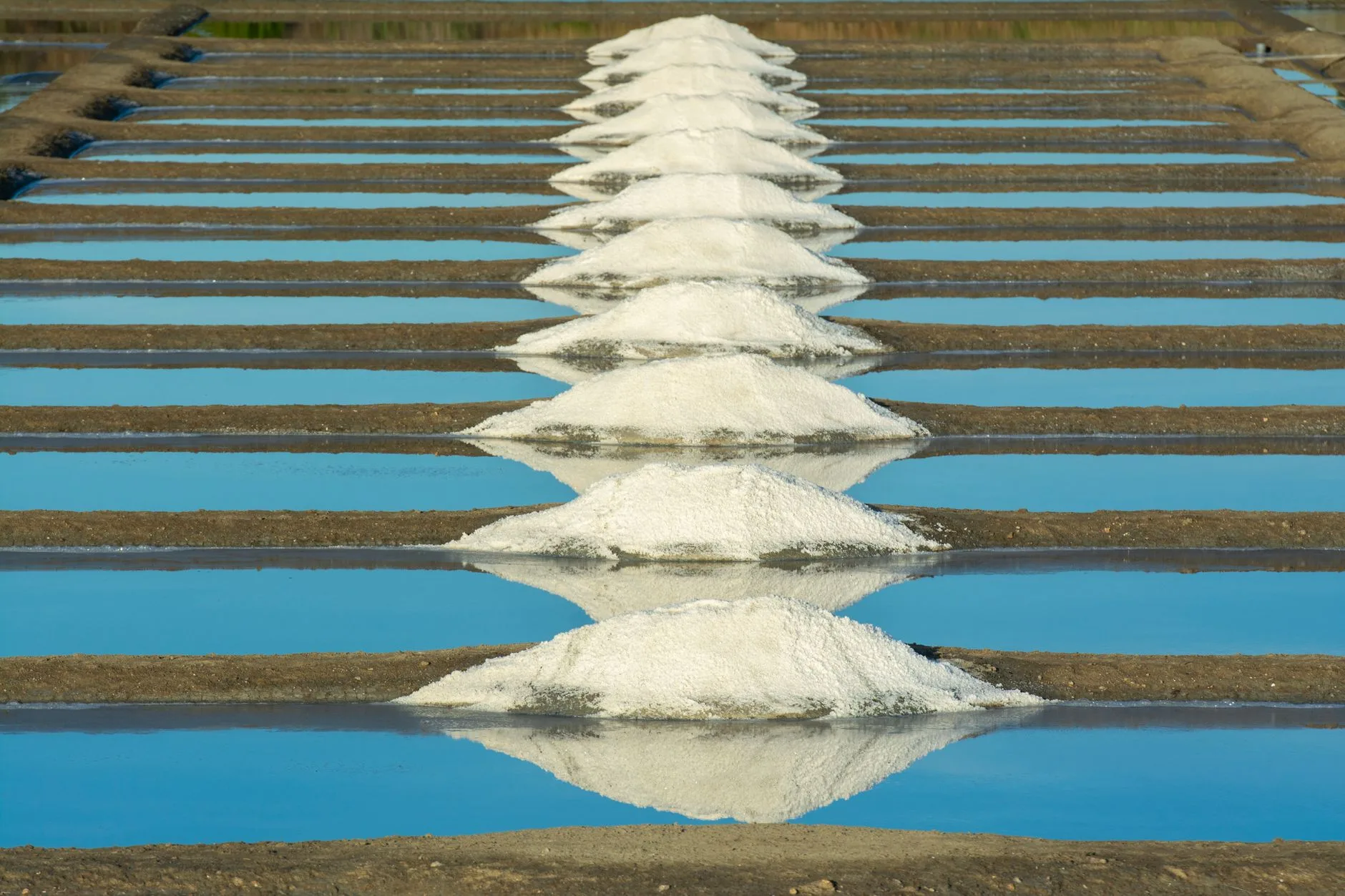 La ria, les marais salants et la nature